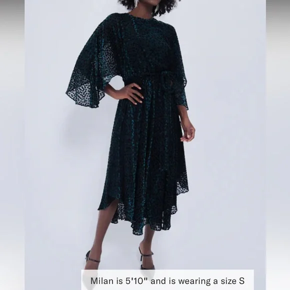 Robe BEBE Katrina Taille 6 Femme - Neuve Avec étiquettes (NWT), Longueur Genou, Manches Courtes, Occasion Décontractée